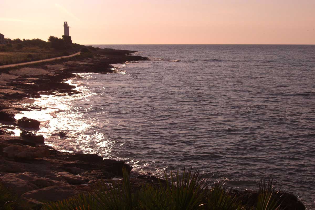 The Lighthouse Walk