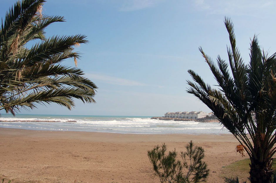 The Beach